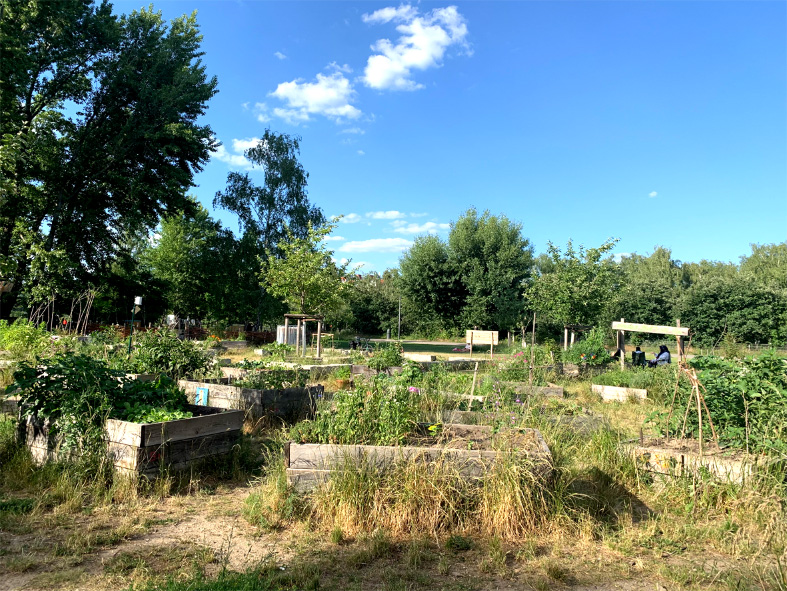 Eine blühende Blumenoase in der Nähe von Mauerpark 