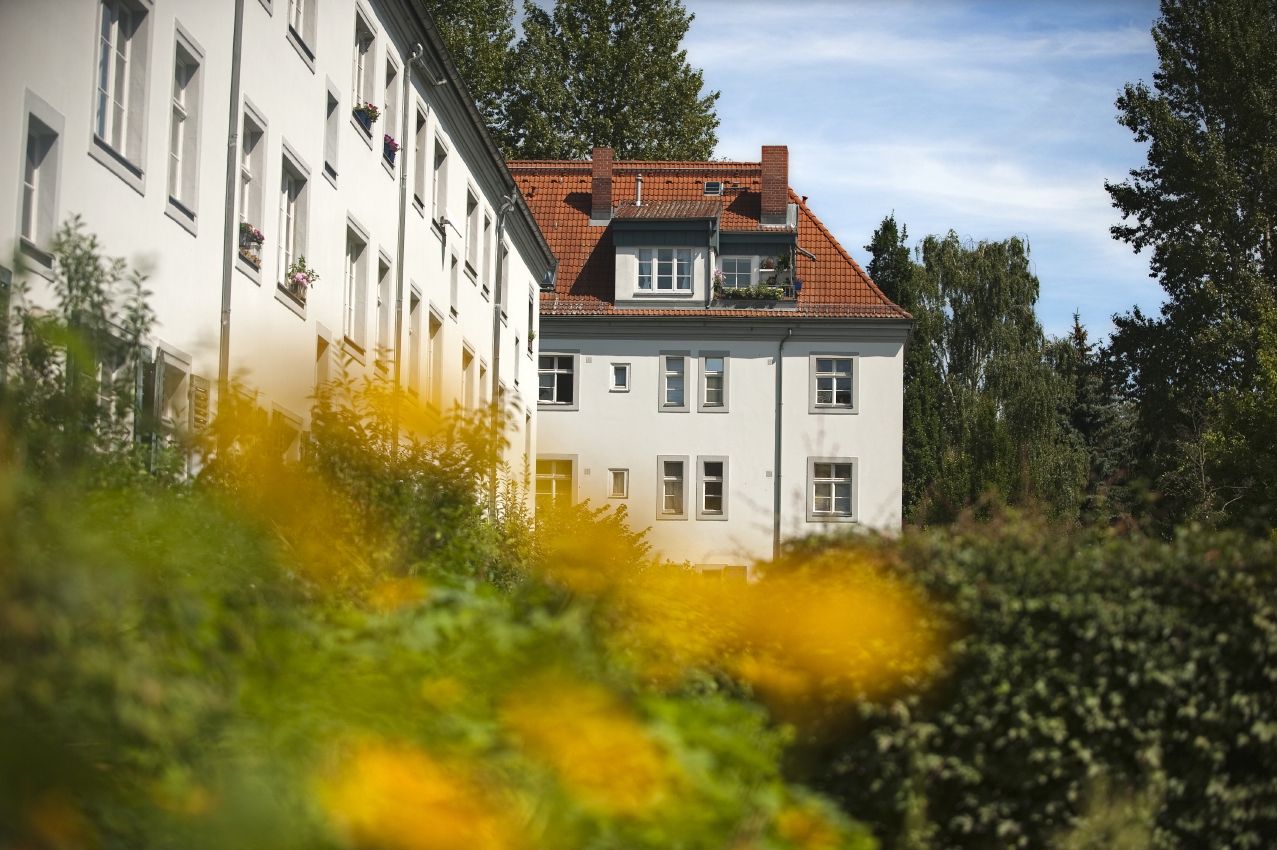 Bestandspflege Unser Jahr 2020 degewo